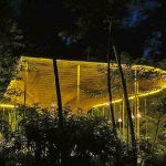 WhatsApp Image 2026-02-25 at 1.13.25 PM